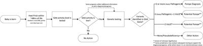 An analysis of Pompe newborn screening data: a new prevalence at birth, insight and discussion